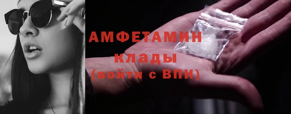 гидра Алексин