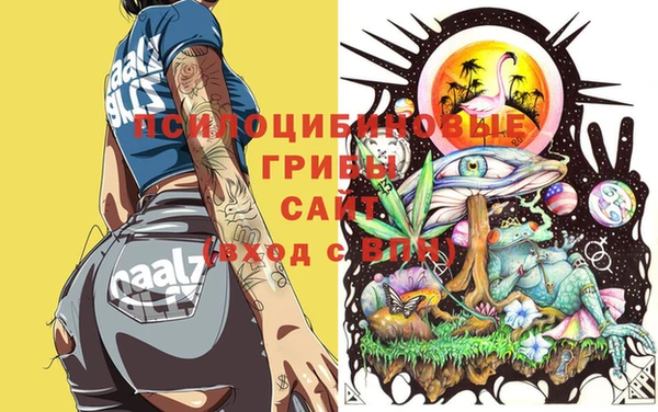 гидра Алексин