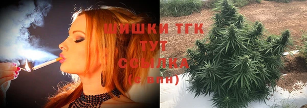 ECSTASY Алзамай
