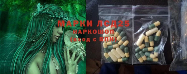 гидра Алексин