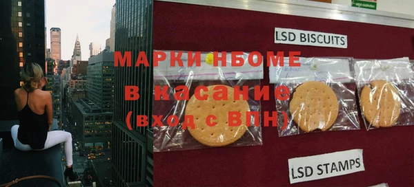 ECSTASY Алзамай